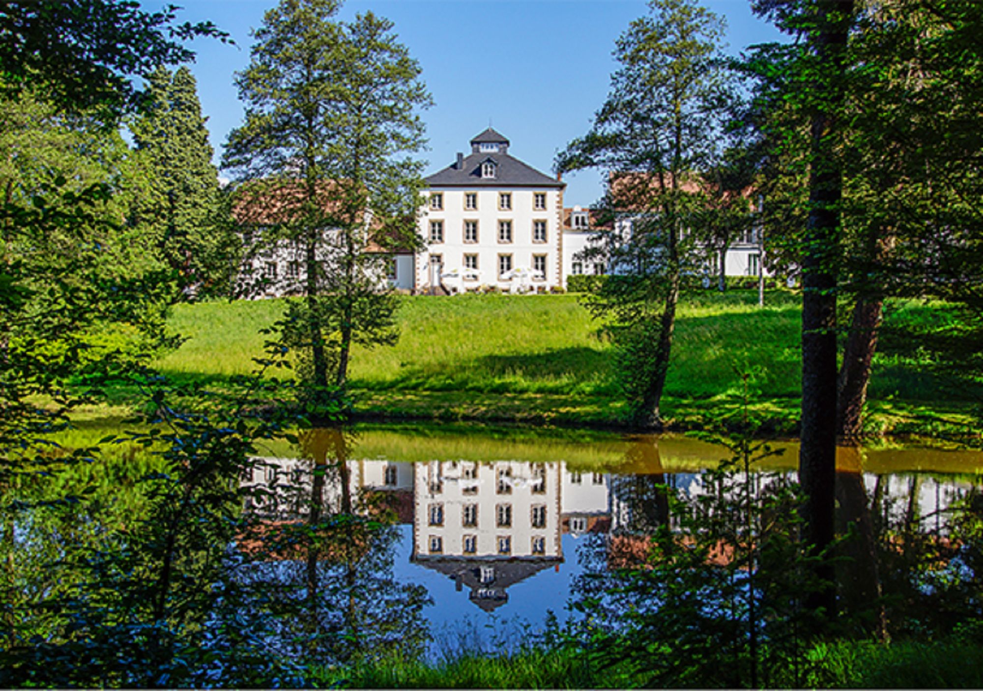 31+ Hofgut Imsbach Teich, Wunderschöne alleen, kleine teiche,