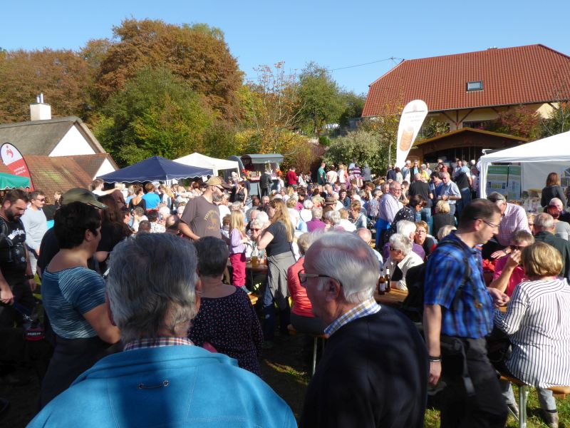 Mühlenfest auf der Johann-Adams-Mühle