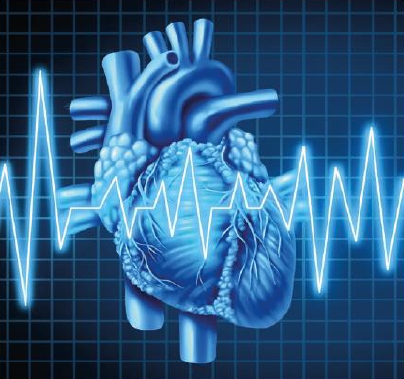 NEUER TERMIN: „Herzkrank? Schütze dich vor dem Herzstillstand“ –  Informationsveranstaltung im Rathaussaal Tholey