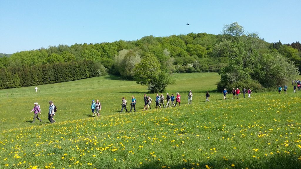 18. Schaumberg-Wandermarathon 2024:  42 Kilometer durch und um die Schaumbergdörfer