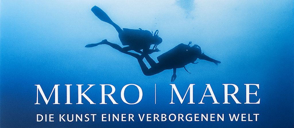 Vernissage: Micro Mare – Die Kunst einer verborgenen Welt